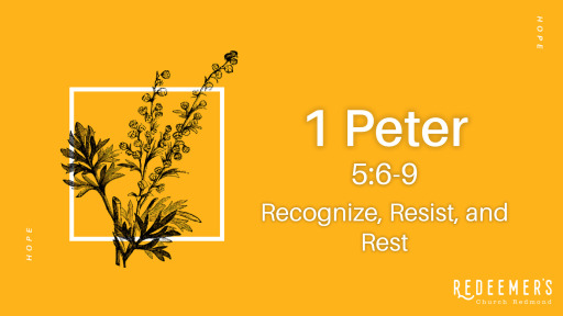 1 Peter 56 9 Recognize Resist And Rest Faithlife Sermons