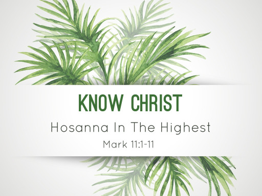 Hosanna In The Highest Faithlife Sermons