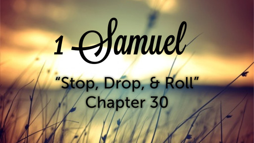 1-samuel-chapter-30-stop-drop-roll-faithlife-sermons