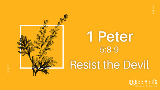 1 Peter 58 9 Resist The Devil Faithlife Sermons
